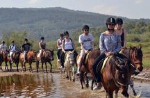 Alanya Horse Riding Experience With Free Hotel Transfer