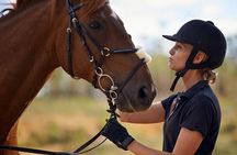 Alanya Horse Riding Experience With Free Hotel Transfer