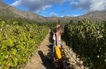 Flavours Of Cape Town Full Day Tour