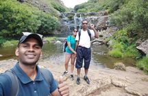 Waterfall Hike