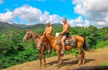 Small Group Cultural Safari