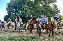 Zipline,Dune Buggy,Horse Riding