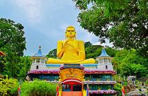 Private Day Trip To Minneriya Sigiriya and Dambulla From Kandy