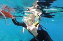 Mobula Ray and Ocean Safari Day Trip