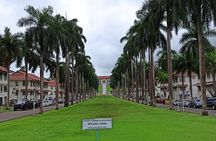 Walking the Cerro Ancón: Nature and Unique Panoramics