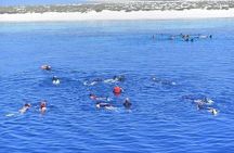 Coral Garden Reefs Snorkeling Boat Trip From Marsa Alam