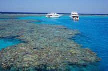 Coral Garden Reefs Snorkeling Boat Trip From Marsa Alam