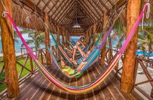 Half Day Guided Snorkeling Adventure Tour from Cancun