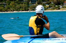 The Byron Bay Sea Kayak Tour