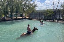 Horseback Ride and Swim Tour In Montego Bay