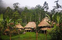BRIBRI Chocolate tour & Cahuita National park from San Jose