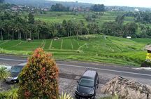 Tanah Lot , Jatiluwih & North Bali Private Tour All–Inclusive