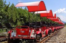 Nami Island & Garden of Morning Calm & Gangchon Railbike Tour