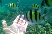 Pulau Payar Snorkeling Tour in Langkawi