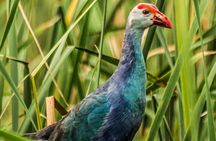  Bundala National Park by Ajith Safari