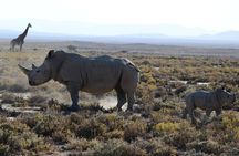 Arusha: 5 days Safari Trip Tarangire, Lake Manyara and Ngorongoro