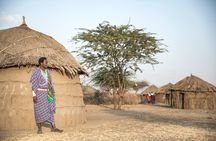 Arusha: 5 days Safari Trip Tarangire, Lake Manyara and Ngorongoro