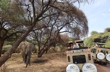 Arusha: 5 days Safari Trip Tarangire, Lake Manyara and Ngorongoro