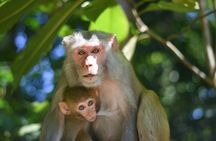 Private Sreemangal Tour Package from Dhaka: Srimangal Nature Tour