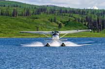 30 Minutes Seaplane Ride in Talkeetna