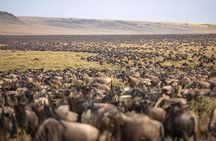 5 Days Safari Adventure in Tanzania
