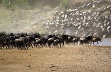 5 Days Safari Adventure in Tanzania