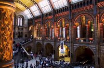 The Natural History Museum of London: Private Half-Day Tour
