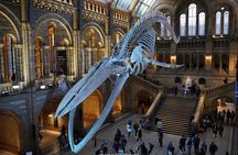 The Natural History Museum of London: Private Half-Day Tour
