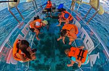 Tour Isla Mujeres excursion in Collective Transparent Boat