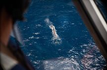 Kaikoura: Whale Watching Flight (Extended)