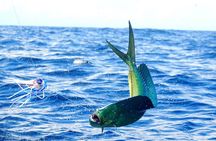 1/2 Day 5 Hour Offshore Fishing Charter