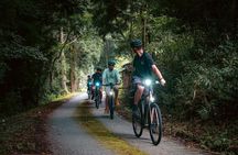 E-Bike tour through old rural Japanese silver mining town