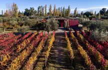 Chandon Winery + Enemigo Lunch (Michelin Guide). Transfer included