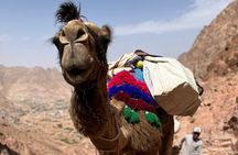 Mount Sinai and St Catherine Monastery 