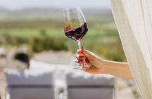 Atamisque Winery + Lunch in Ruda Cocina. Private transportation