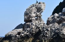 Capri, Anacapri and Blue Grotto Day Tour from Naples Small Group