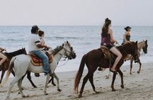 Kusadasi Horse Riding On Beach And Through The River
