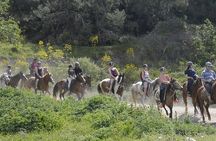 Kusadasi Horse Riding On Beach And Through The River