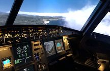 Become a Pilot for a Day in a Professional Airbus 320 Simulator
