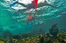 Isla Mujeres, Snorkel, Lunch & Pick Up from Cancun to P.Morelos