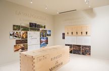 Amarone Wine Experience at Montresor winery