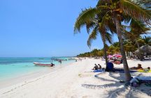 Half Day Private Snorkeling with Turtles and Majestic Cenotes