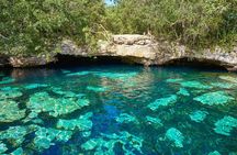 Half Day Private Snorkeling with Turtles and Majestic Cenotes
