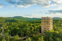 Access to Mont-Tremblant Treetop Observatory and Walk