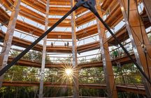 Access to Mont-Tremblant Treetop Observatory and Walk