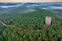 Access to Mont-Tremblant Treetop Observatory and Walk