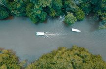 7-in-1 Combo Tour: Tortuguero Canals Shore Excursion