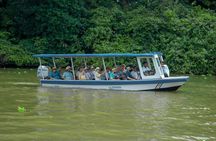  Private Tortuguero Canals Tour & Puerto Limón Highlights