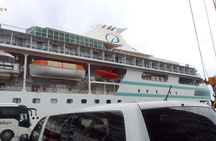 Discover Fiji Best Sights Tour from Lautoka wharf Cruise Ships