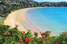 1.5h Waiheke Guided Scenic Tour in our Electric Van